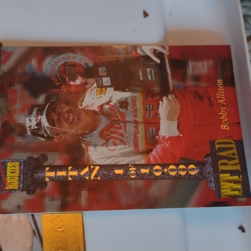 NASCAR Racing Cards - Picture 2 of 3